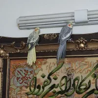 عروس هندی