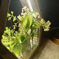 گل دکوری زیبا