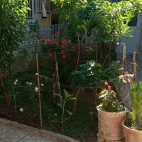 ویلایی  سند دار نورگیر وباصفا