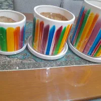 سه عدد گلدان سرامیکی