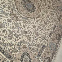 فروش فوری|فرش|گلپایگان, |دیوار