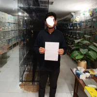 طوطی پاربلو اوپلاین یووینگ عروس قناری قفس|پرنده|مشهد, عبادی|دیوار