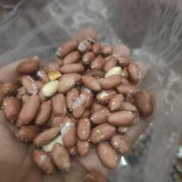 بادام زمینی گلی برشته شده درجه 1