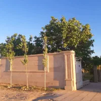 باغ ویلا 1070 متری آب برق گاز سهیلیه کردان|فروش خانه و ویلا|هشتگرد, هشتگرد قدیم|دیوار