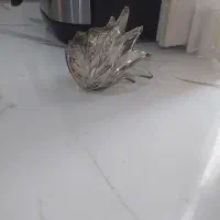 لاله یا لیوان لوستر|لوستر و چراغ آویز|اسلام‌شهر, شهرک قائمیه|دیوار