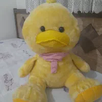 جوجه اسباب بازی