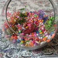 آکواریوم بزرگ|گل و گیاه طبیعی|مریوان, |دیوار