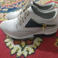 کفش|کیف، کفش، کمربند|یاسوج, |دیوار