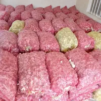سیر درجه یک همدان