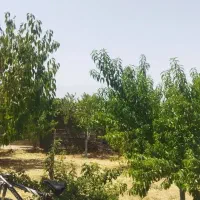 باغ ویلا.    اجاره کوتاه مدت و سه و شش ماهه ماهه.