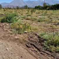 فروش زمین کشاورزی  به متراژ ۱ هکتاردر شهر هادیشهر|اجارهٔ دفتر صنعتی، کشاورزی، تجاری|جلفا, |دیوار