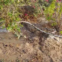 حفاری چاه به وسیله لوله زدن