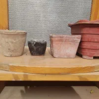 تعدادی گلدان