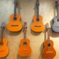فروش و آموزش گیتار