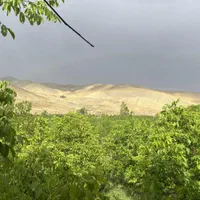 تنگه واشی خانه باغ|فروش دفتر صنعتی، کشاورزی، تجاری|فیروزکوه, |دیوار