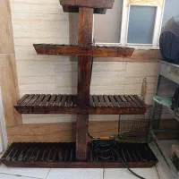استندگل وگیاه|گل و گیاه طبیعی|ایذه, |دیوار