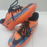 کفش|کیف، کفش، کمربند|فارسان, |دیوار