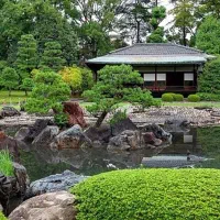 راهنمایی از یه خانم خوش ذوق در طراحی