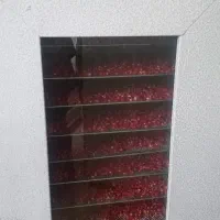 دستگاه میوه خشک موجوده