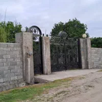 باغ-مرکبات-در-عباس-اباد-سند-تک-برگ