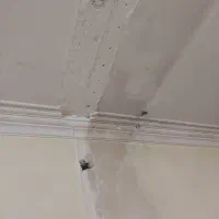 لکه گیری گچکاری درجه یک