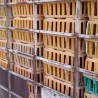 قفس مرغ زنده|فروشگاه و مغازه|باسمنج, |دیوار