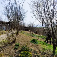 زمین ویلایی بهترین ویو منطقه ساری