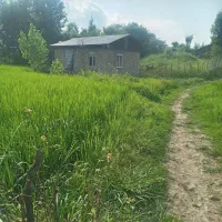 فروش شالیزار سنتی بر جاده) چسبیده به مسکونی