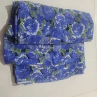 چادر خارجی|لباس|اصفهان, سروستان|دیوار