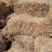 پرس علف یونجه علفی