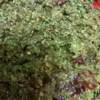 سبزیجات و ترشیجات مرباجات|خوردنی و آشامیدنی|قائمشهر, |دیوار