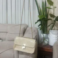 کیف مجلسی