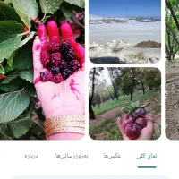 فروش زمین ملکی و باغی در روستاهای دهبکری