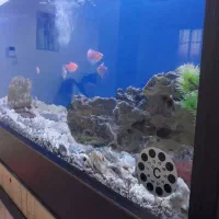 آکواریوم همراه با وسایل کامل