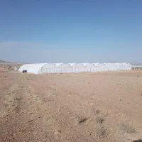 فروش گلخانه سیفی