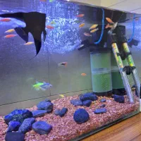 اکواریوم با تمامی لوازم