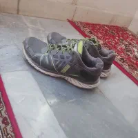 کفش اصل victoria padoos