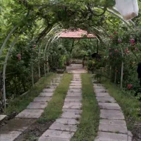 باغ بهشت جنگل2نبش کنتورکرج سهیلیه زعفرانیه کردان|فروش زمین و ملک کلنگی|کرج, عظیمیه|دیوار