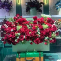 سبدگل وباکی