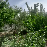 فروش باغچه|فروش زمین و ملک کلنگی|چهاردانگه (تهران), |دیوار