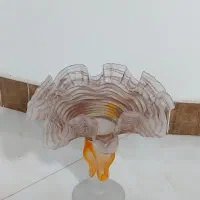 ظرف میوه|ظروف سرو و پذیرایی|خرم‌آباد (تنکابن), |دیوار