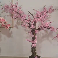 درختچه شکوفه گیلاس هر عدد2900 هزار