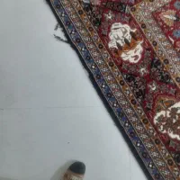 فرش ماشینی|فرش|مشهد, رضاییه|دیوار