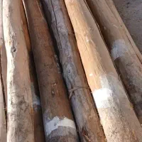 خرید فروش چوب خشک