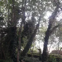 آپارتمان 107متر/2خواب /ویومادی صفه/طراحی مدرن شیک|پیش‌فروش املاک|اصفهان, مهدیه|دیوار