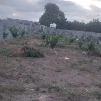 زمین ۲۵۰ متری داری منبع آب