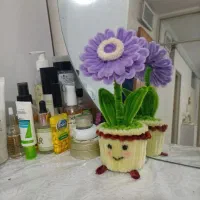 ژربرا بنفش