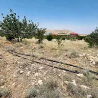 باغ ۵۰۰۰ متری ملوسجان با سند تک برگ