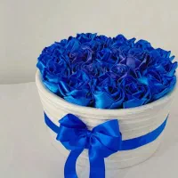 کادویی