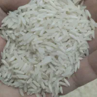 برنج شمال طارم محلی|خوردنی و آشامیدنی|مشهد, ثامن|دیوار